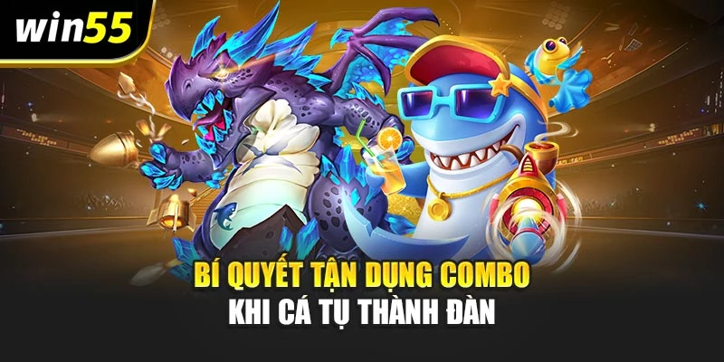 Bí quyết tận dụng combo khi cá tụ thành đàn