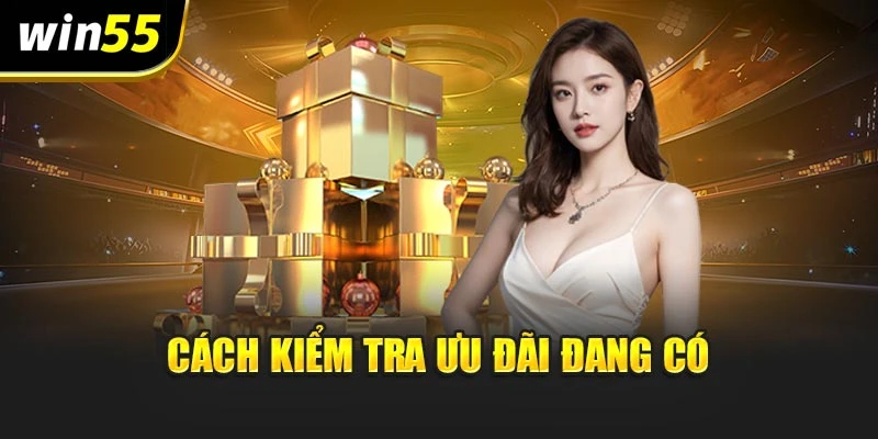 Cách kiểm tra ưu đãi đang có