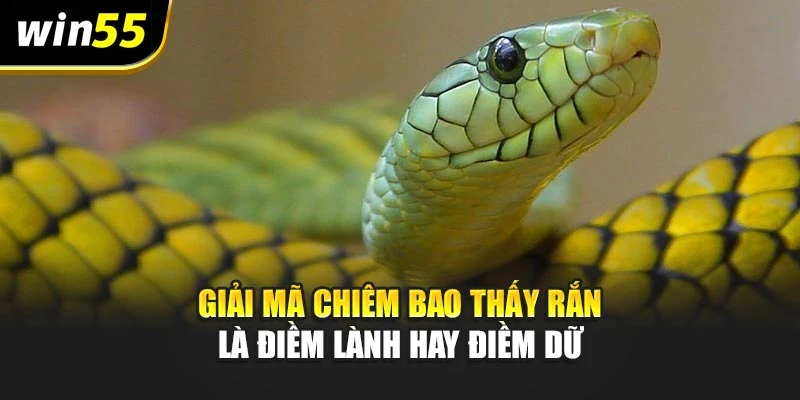 Giải mã chiêm bao thấy rắn là điềm lành hay điềm dữ