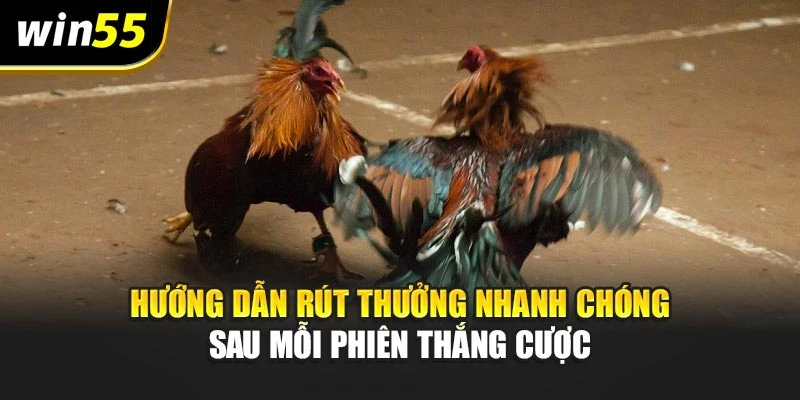 Hướng dẫn rút thưởng nhanh chóng sau mỗi phiên thắng cược