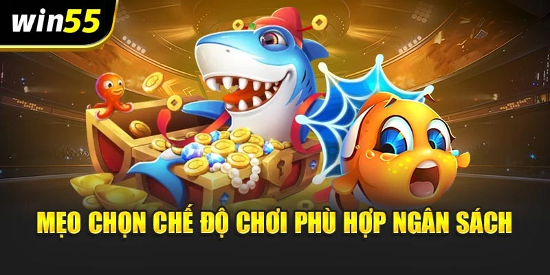 Mẹo chọn chế độ chơi phù hợp ngân sách