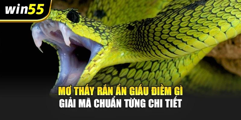 Mơ Thấy Rắn Ẩn Giấu Điềm Gì – Giải Mã Chuẩn Từng Chi Tiết