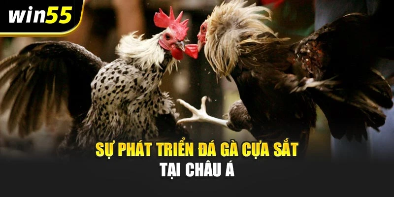 Sự phát triển đá gà cựa sắt tại châu Á